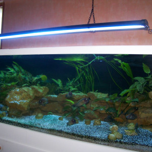 rampe dual pro 150 cm 2 t5