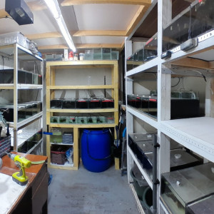 fishroom