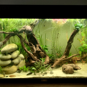 125L Game of Rock