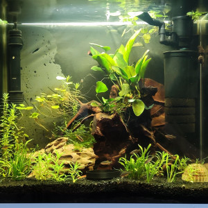 Nano 45l