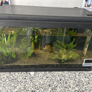 Donne aquarium avec poisons et matériel