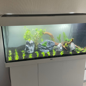 Juwel 180l