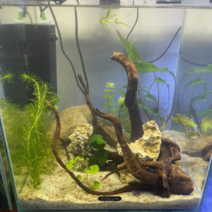 Jaeden 30 L