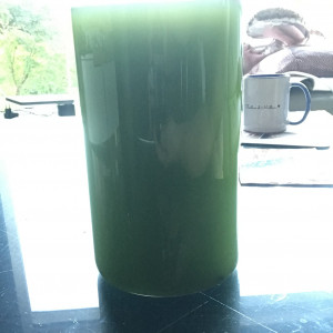 Phytoplancton marin
