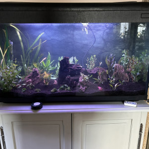200 Litres