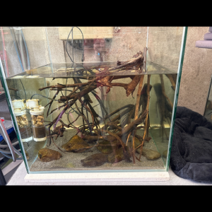 Aquarium 180 litres cubique