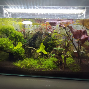 Scaper 90l