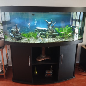 Donne aquarium complet 450 l