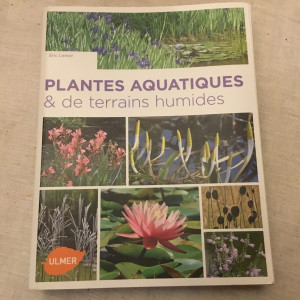 Publication de Dimu
