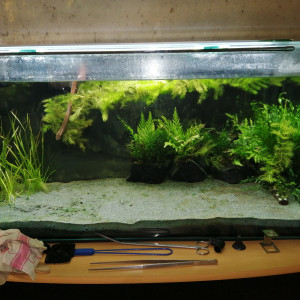 Mon aqua