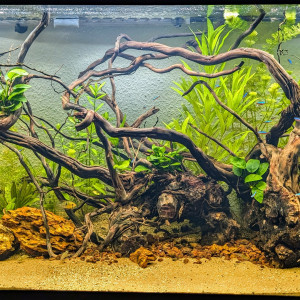 Rio 350