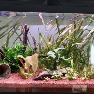 74l