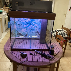 Vends aquarium