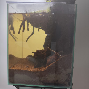 Publication de Anhtu