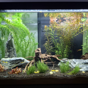 Aquarium