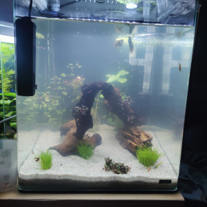 Nano cube 60L