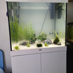 Aquarium 120L