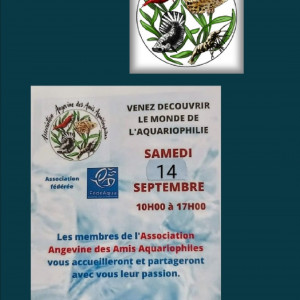 Portes ouvertes  de l'Association Angevine des Amis Aquariophiles.