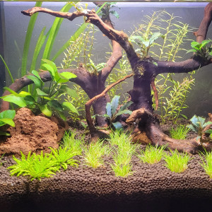 30 l