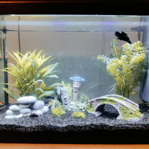 Mon 70 litres