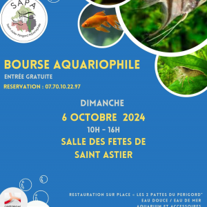 Publication de Emilieloic