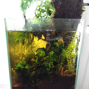 Publication de Anhtu