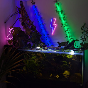 Aquarium 330L