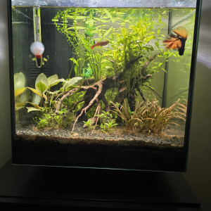 30L
