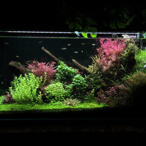 Publication de Blueb17