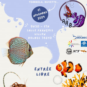 Bourse AAB Bolbec 17/11/24 Aqua Terra
