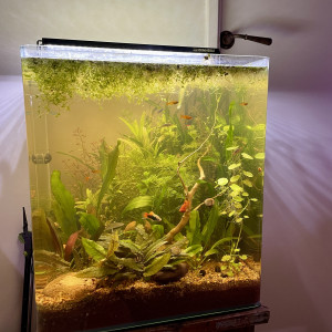 1er aqua 60l