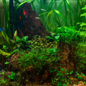 Publication de bobber58