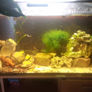 450 litres