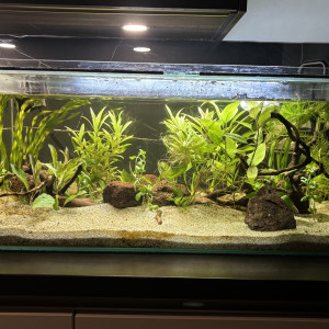 Publication de adr_mrz