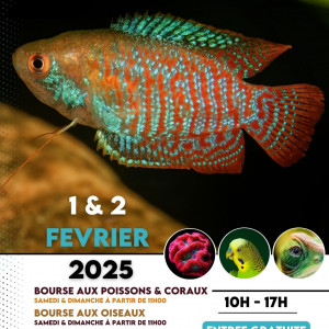 Publication de Aquario-passion
