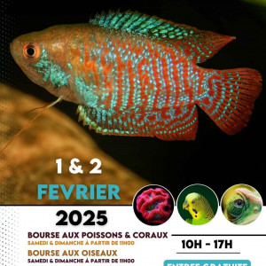 Publication de Aquario-passion