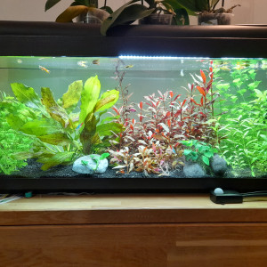 AquaEauDouce