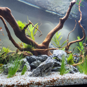 125l