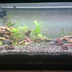 90l filtre sous sable
