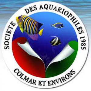 Bourse au poissons,plantes, coraux et invertébrés