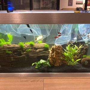 Aquarium DUDU