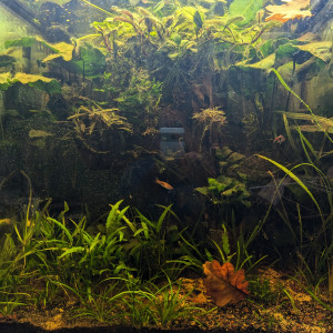 Publication de Stef7524