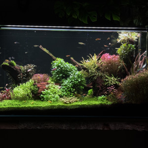 Publication de Blueb17