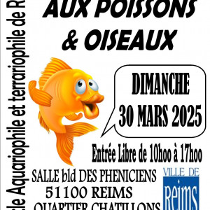 REIMS (51) - BOURSE aux POISSONS et OISEAUX  LE 30 MARS 2025