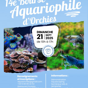 Bourse Aquariophile d'Orchies