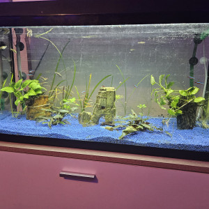 Publication de Adri10