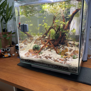 Test 1
