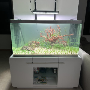 Osaka 320L