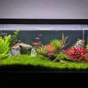 Publication de Jonathan59