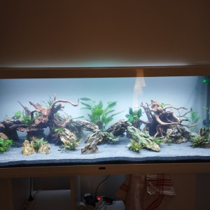 Amazonien